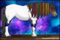 Horse Color:Painted Bay Appaloosa 