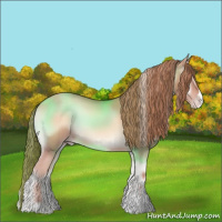 Horse Color:Gold Champagne Onyx Sabino