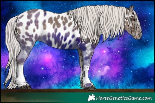 Horse Color:White Spotted Silver Black Ice Appaloosa 