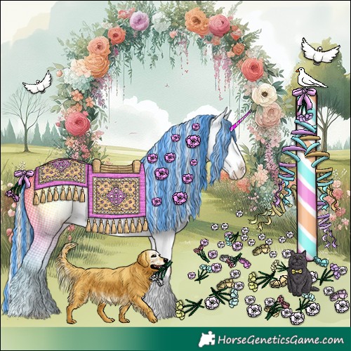 Horse Color:Painted White Spotted Palomino Appaloosa 