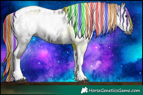 Horse Color:Gray Painted Black Tobiano Appaloosa Rabicano 