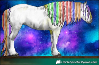 Horse Color:Gray Painted Black Tobiano Blanket Rabicano 