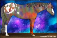 Horse Color:Nacre Grullo Appaloosa 