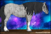 Horse Color:Grullo Ice 