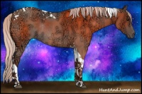 Horse Color:Silver Grullo Ice Tobiano Rabicano 