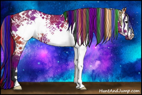 Horse Color:Painted White Spotted Bay Rabicano 