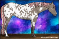 Horse Color:Painted White Spotted Silver Grullo Near Leopard Rabicano 