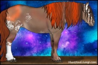 Horse Color:White Spotted Liver Red Dun Rabicano 