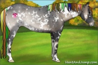Horse Color:Painted White Spotted Blue Onyx 