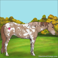 Horse Color:Painted White Spotted Classic Champagne Tobiano 
