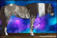 Horse Color:Liver Red Dun Ice Onyx Tobiano Rabicano 