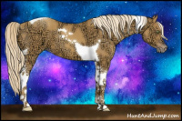 Horse Color:Gold Cream Champagne Ice Tobiano 