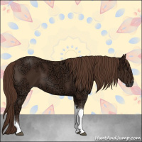 Horse Color:Liver Chestnut Ice Tobiano 