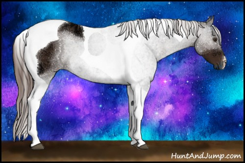 Horse Color:Liver Chestnut Ice Tobiano 