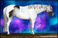 Horse Color:Liver Chestnut Ice Tobiano 