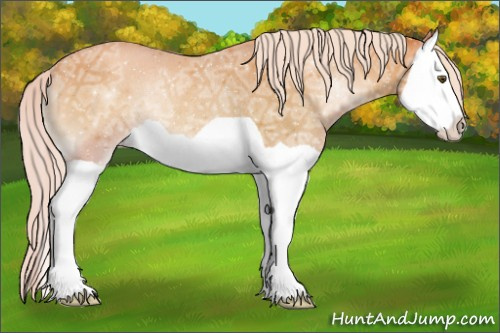 Horse Color:Silver Amber Champagne Ice Onyx Splash Rabicano 