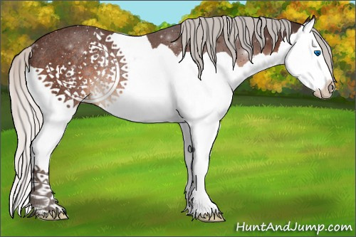 Horse Color:Silver Brown Splash Rabicano