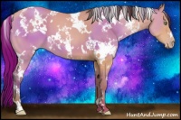 Horse Color:White Spotted Amber Champagne 
