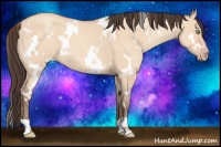 Horse Color:White Spotted Sable Champagne Dun 
