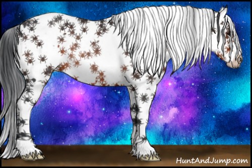 Horse Color:Brown Sabino Rabicano 