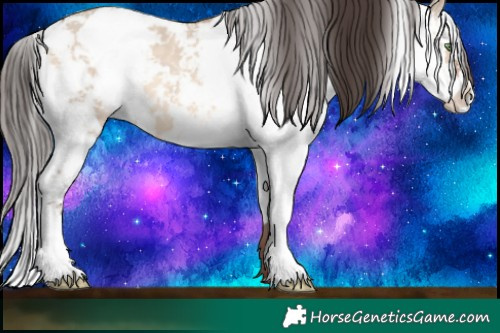 Horse Color:Sable Champagne Dun Sabino 