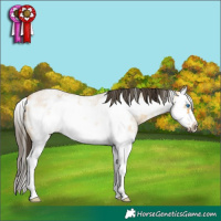 Horse Color:Buckskin Roan Sabino Splash Frame 