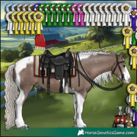 Horse Color:Silver Black Sabino Tobiano 