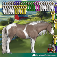 Horse Color:Silver Black Sabino Tobiano 