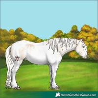 Horse Color:Silver Smoky Black Pearl Sabino Tobiano 