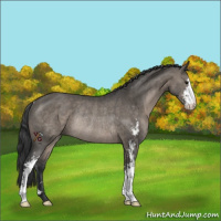 Horse Color:Grullo Sabino Rabicano 