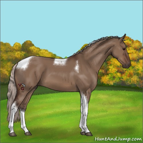 Horse Color:Silver Brown Dun Tobiano 