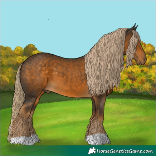 Horse Color:Chocolate Palomino 