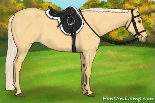 Horse Color:Palomino Dun 