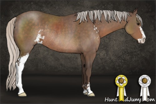Horse Color:Silver Black Sabino Rabicano
