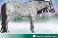 Horse Color:Black Ice 