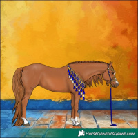 Horse Color:Chestnut 