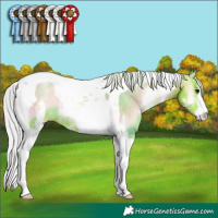 Horse Color:Watercolor Silver Blue Onyx Pearl Sabino Tobiano 