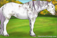 Horse Color:Watercolor Blue Onyx Pearl Sabino 