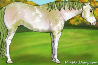 Horse Color:Watercolor Blue Onyx Pearl Sabino Rabicano