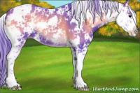 Horse Color:Watercolor Blue Onyx Sabino 