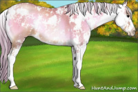 Horse Color:Watercolor Blue Onyx Pearl Sabino Rabicano