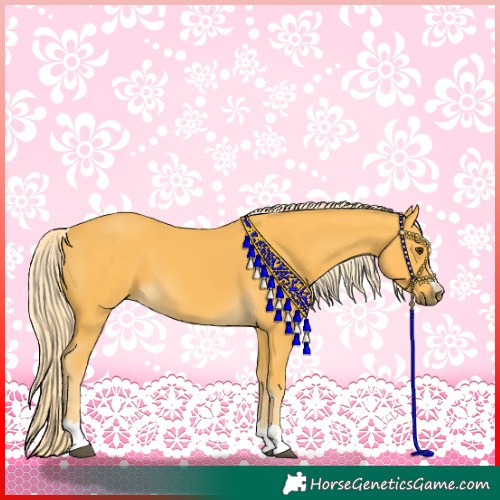 Horse Color:Palomino 