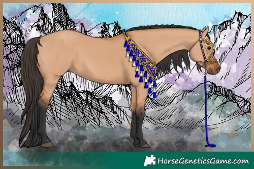 Horse Color:Bay Dun