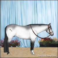 Horse Color:Brown Chinchilla