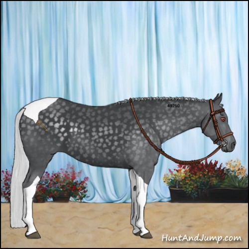 Horse Color:Silver Black Chinchilla Tobiano 