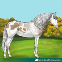 Horse Color:White Spotted Silver Smoky Grullo Mushroom Sabino Splash 