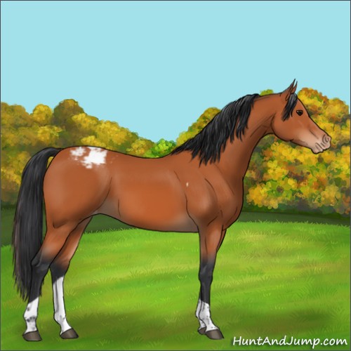 Horse Color:Bay Tobiano Varnish 