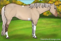 Horse Color:Silver Bay Dun Tobiano Varnish 