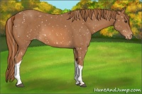 Horse Color:Chestnut Tobiano Snowflake Varnish 