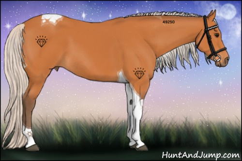 Horse Color:Silver Bay Tobiano